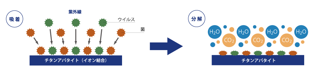 光触媒チタンアパタイトとは　©キハラ株式会社
