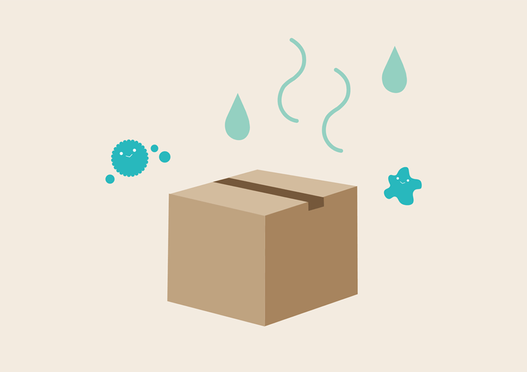 湿気によるカビのリスクⒸキハラ株式会社